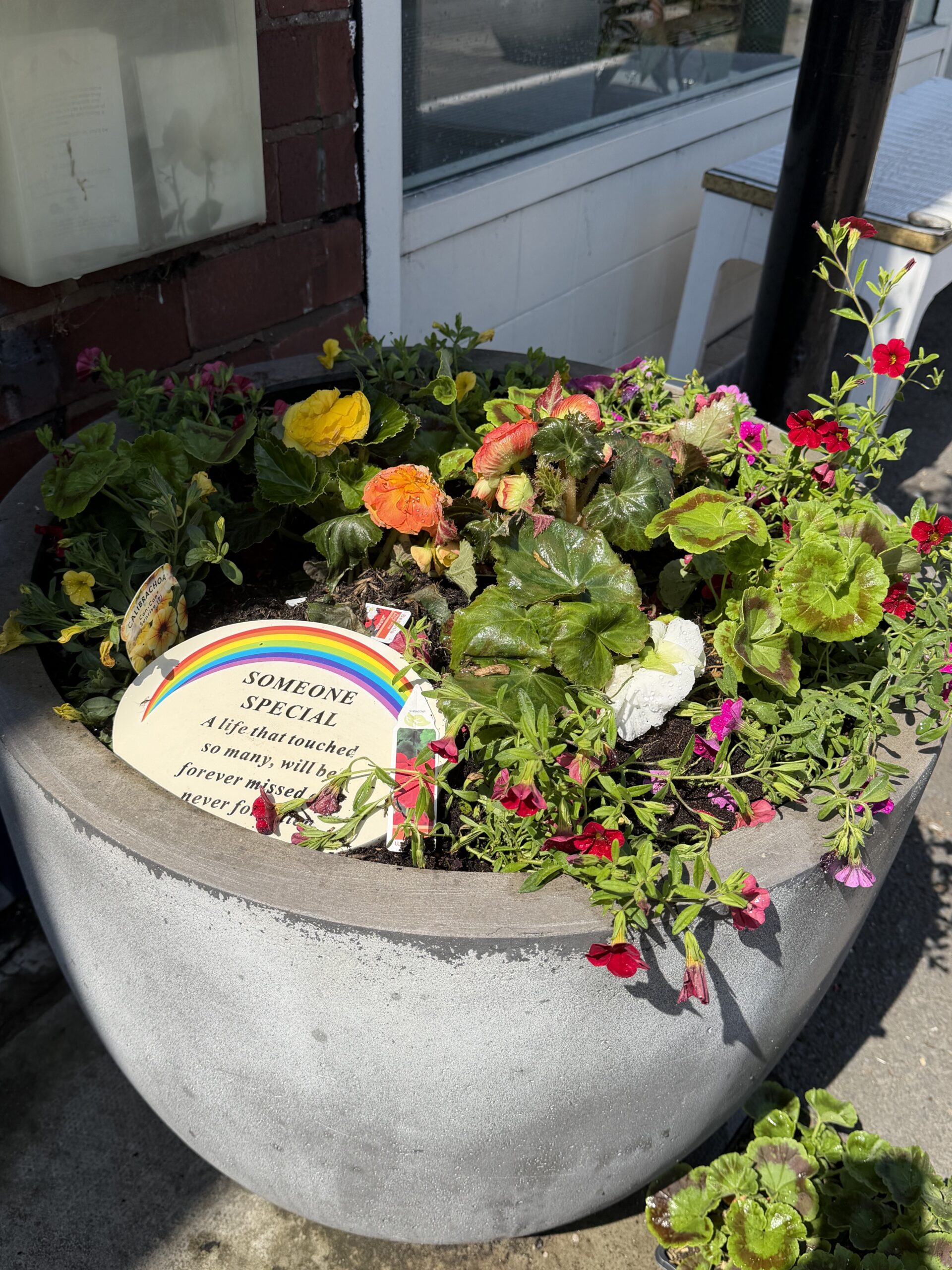 Round concrete planter full of colorful flowers (yellow, orange, pink) beside a brick wall and windowed storefront.